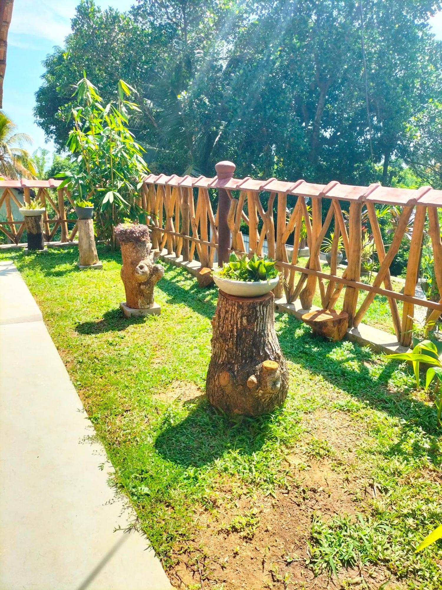 Villa Blue Ocean Tree House Hiriketiya Dikwella Esterno foto